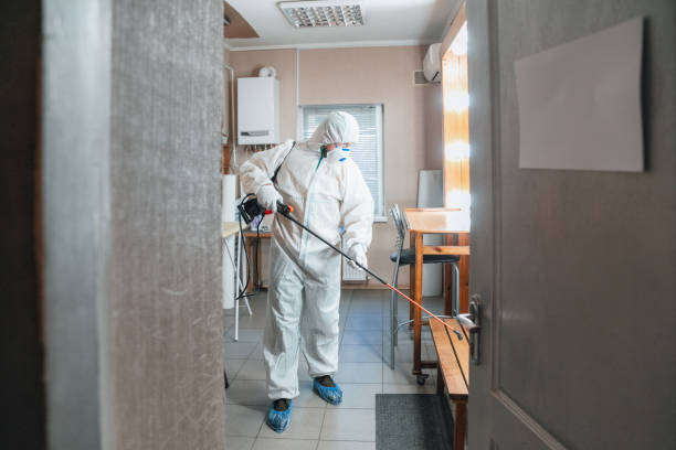 Best Biohazard Mold Removal  in Whitley City, KY